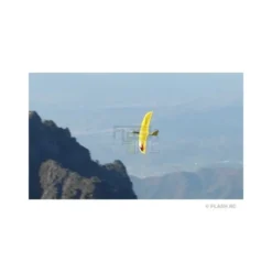 Aile volante Angela jaune env.2.00m RCRCM
