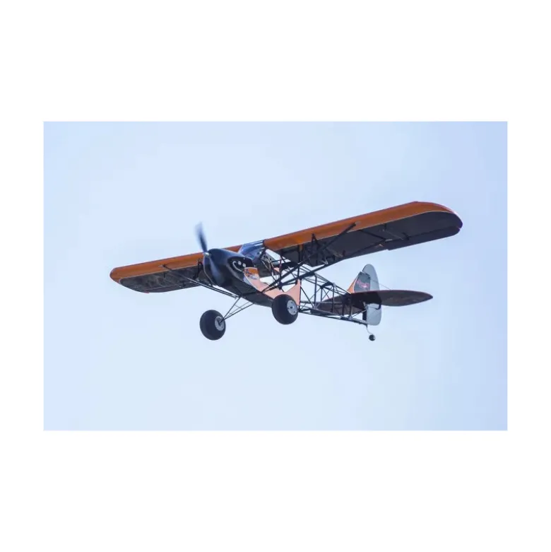 Avion DW Hobby Savage Bobber 1,88M ARF avec esc + moteur + servo