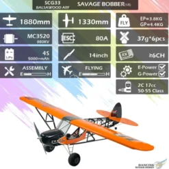 Avion DW Hobby Savage Bobber 1,88M ARF avec esc + moteur + servo