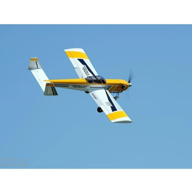 Avion Ecotop BIDULE 111 ARF env.3.00m