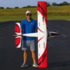 Avion E-flite Turbo Timber SWS BNF Basic AS3X env 2.0m