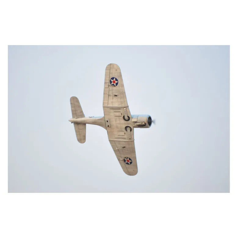 Avion Phoenix Model_SBD DAUNTLESS_1,4 m_ARF .46 -.55
