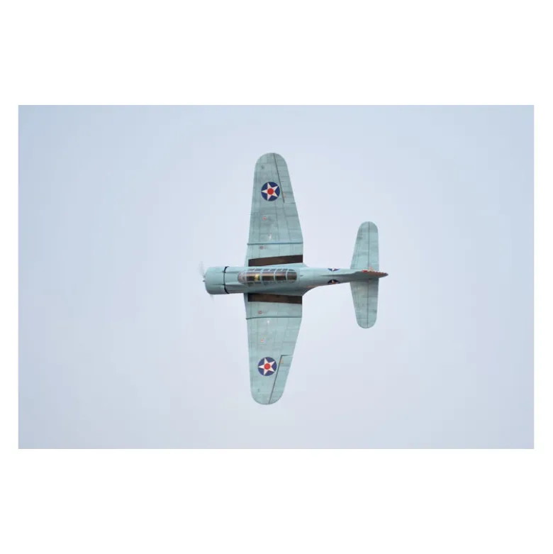 Avion Phoenix Model_SBD DAUNTLESS_1,4 m_ARF .46 -.55