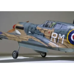 Avion Phoenix Model P40 Warhawk 30-35cc GP/EP ARF 2.04m