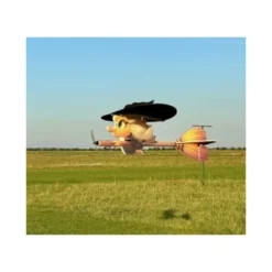Avion RC Factory La Sorciere