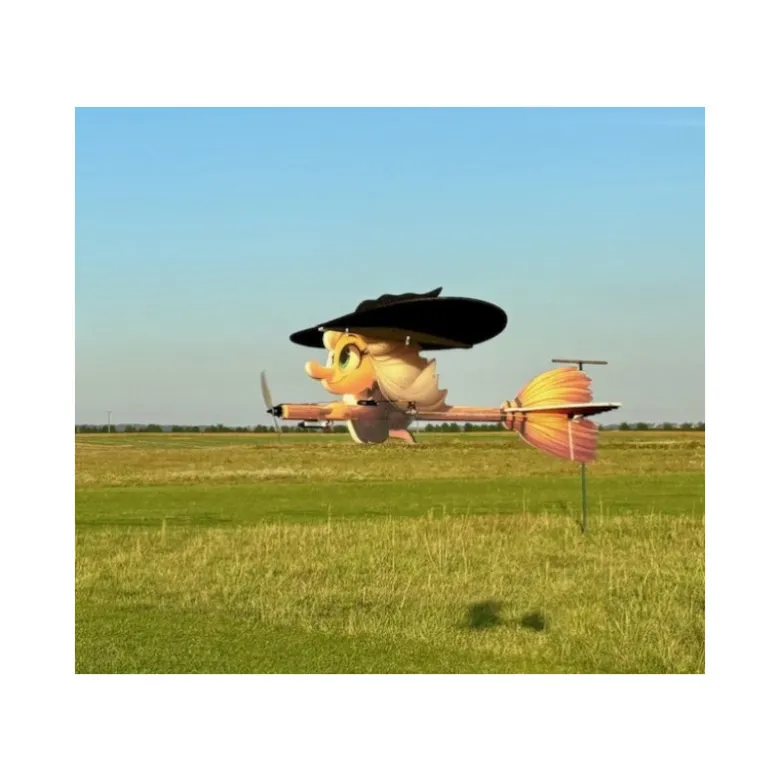 Avion RC Factory La Sorciere