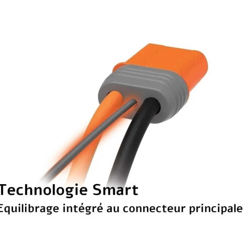 Batterie Smart Lipo 6S 22.2V 5000mAh 30C IC5 Spektrum