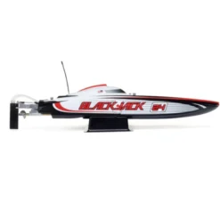 Blackjack 24