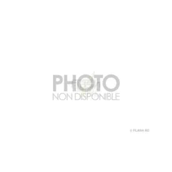 BLH6010 - Axe principal - Blade mCPX BL2 E-flite