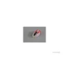 BLH7103 - Bulle supérieure rouge - Blade nano QX 3D E-Flite