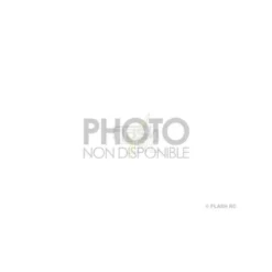 BLH6004 - Moteur anticouple brushless - Blade mCPX BL2 E-flite