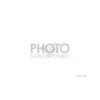 BLH6007 - Pales principales - Blade mCPX BL2 E-flite
