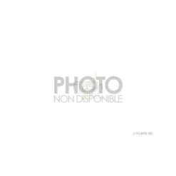 BLH6007 - Pales principales - Blade mCPX BL2 E-flite