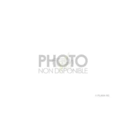 BLH6011 - Set de visserie - Blade mCPX BL2 E-flite