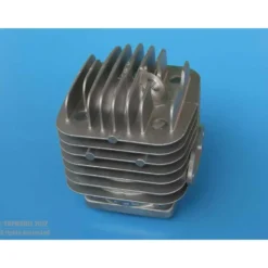 Cylindre DLE55RA 1pc