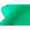 Entoilage Vert Transparent KAVAN