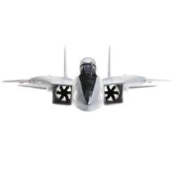 Jet E-flite F-14 Tomcat Twin 40mm EDF BNF Basic AS3X / Safe Select env.0.76m