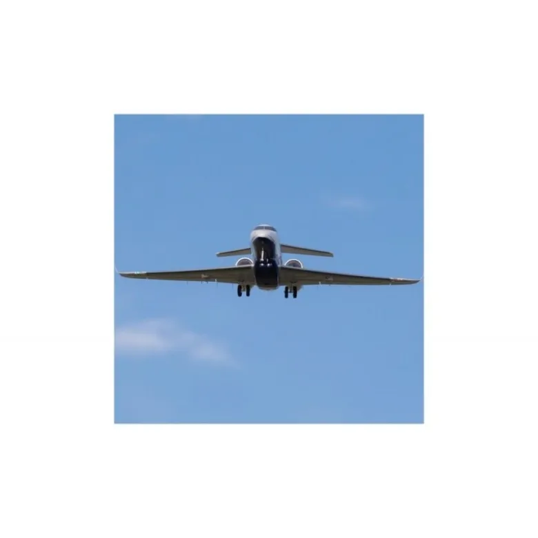Jet E-flite UMX Citation Longitude Twin 30mm EDF Basic AS3X / Safe Select env. 0.63m