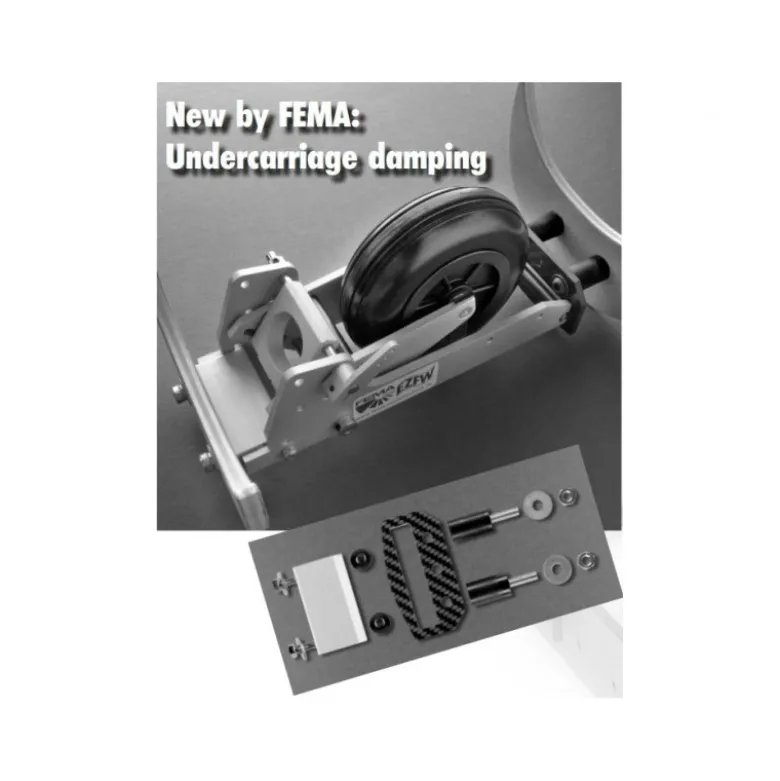 Kit Amortisseur train FEMA #9800