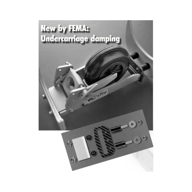Kit Amortisseur train FEMA #9820