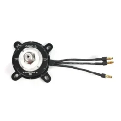 Moteur Dualsky GA800.11 V2 (170g, 550kv, 1000W)