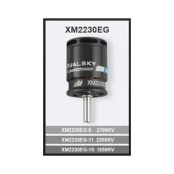 Moteur Dualsky XM2230EG-16 (42g, 1550kV, 278W)