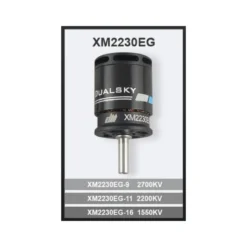 Moteur Dualsky XM2230EG-9 (42g, 2700kV, 296W)