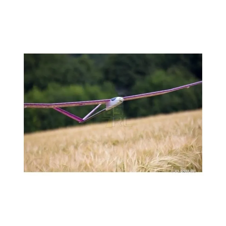 Pegasus (emp. croix) env.2.00m rouge ARF TOPModeL CZ