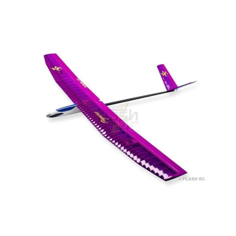 Pegasus V env.2.00m violet ARF TOPModeL CZ