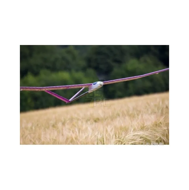 Pegasus V env.2.00m violet ARF TOPModeL CZ