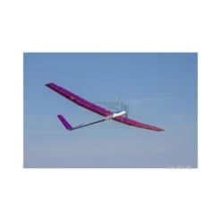 Pegasus V env.2.00m violet ARF TOPModeL CZ