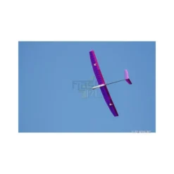 Pegasus V env.2.00m violet ARF TOPModeL CZ