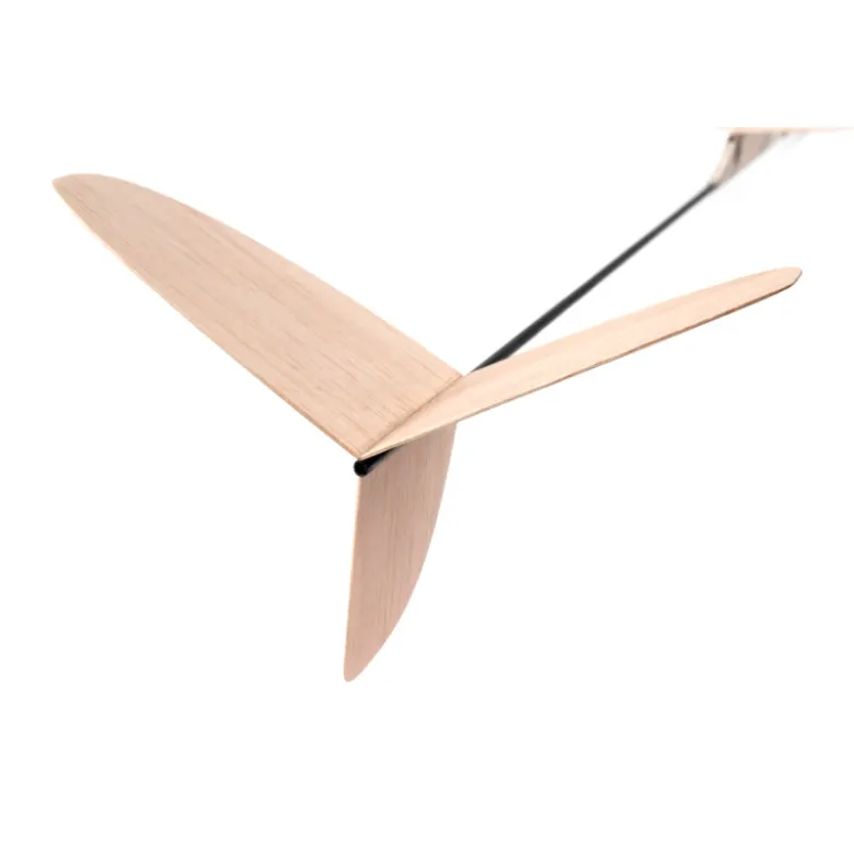 Planeur Kavan Vinx vol libre 600mm kit