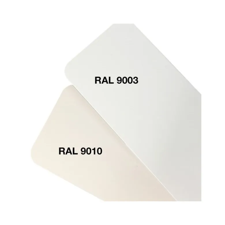 Pâte époxy colorante blanc pur (RAL 9010) 50g R&G