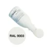 Pâte époxy colorante blanc signal (RAL 9003) 50g R&G