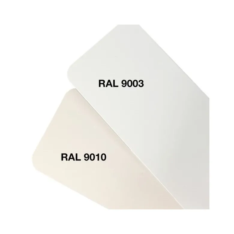 Pâte époxy colorante blanc signal (RAL 9003) 50g R&G