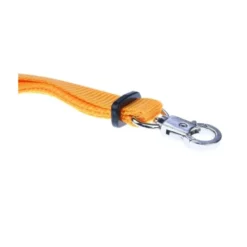 Sangle de cou BEASTX 1 point pour émetteur