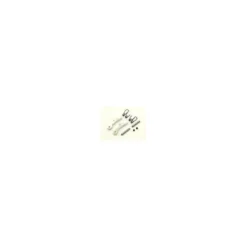 Serpent Levier alu/ressort/pin OS2 RR (2) (SER903269)
