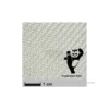 Tissu de verre Panda Sergé 160g/m² - 5ml R&G