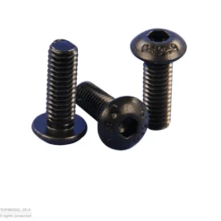 VIS Chc TETE BOMBEE M2x4mm 10pcs