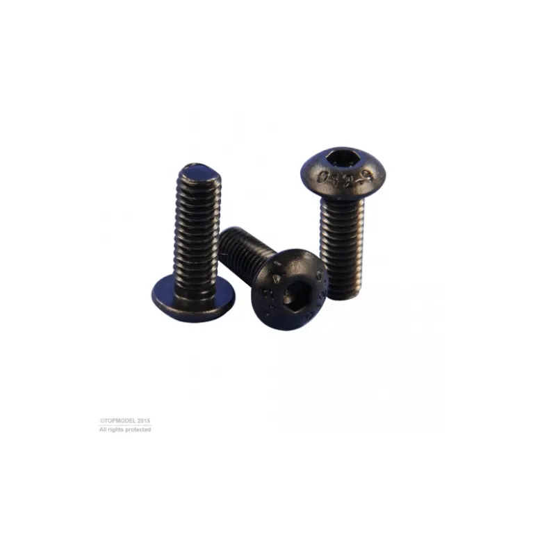 VIS CHC TETE BOMBEE M2,5x12mm 10pcs