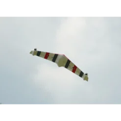XFLY EAGLE 40mm EDF FLYING WING avec gyro - vert