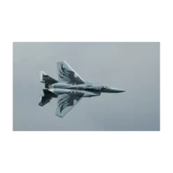 XFLY 710mm F-15 EDF TWIN 40mm JET Gris