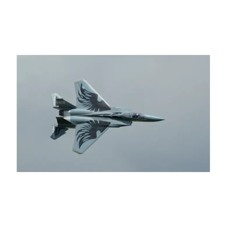 XFLY 710mm F-15 EDF TWIN 40mm JET Gris
